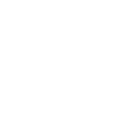Hangover Support